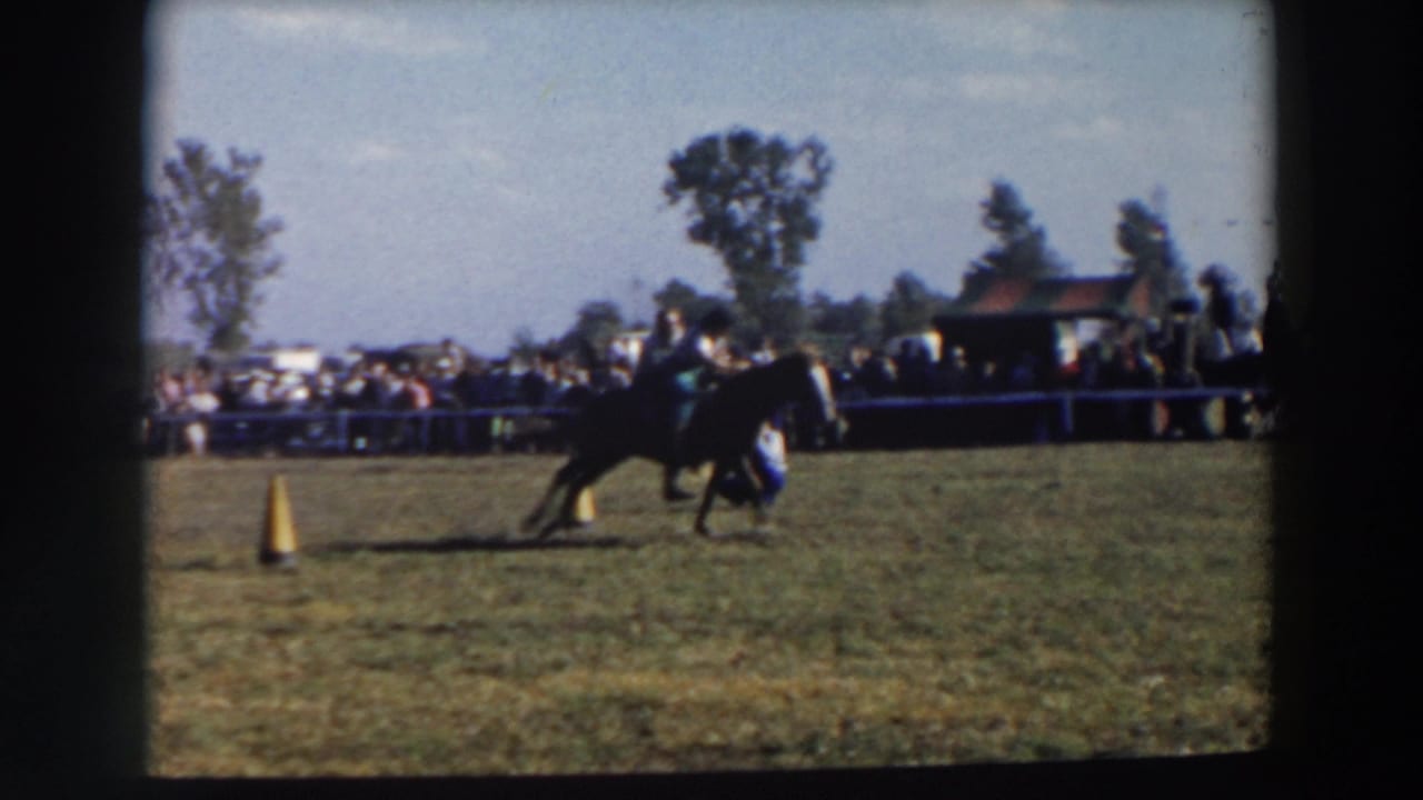 Rider on horseback turns near an orange cone as spectators watch from behind a boundary.