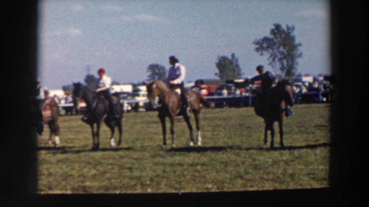 Mounted riders wait on a grassy field with parked cars and trees behind them.