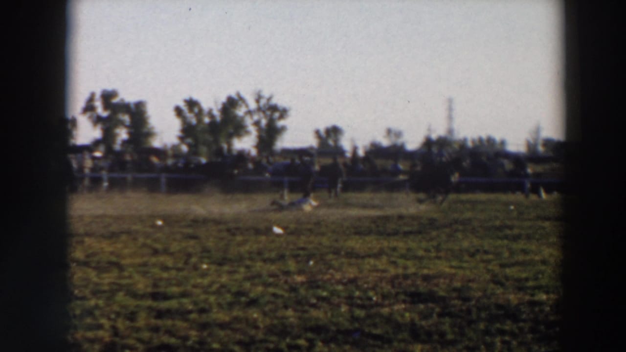 Wide rodeo field with a horse and rider moving near livestock as dust rises behind a fence.