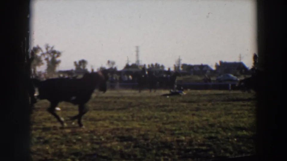 Final 8mm frame shows a horse passing in the foreground of the Wheeling, Ohio rodeo arena with livestock activity and spectators in the background.