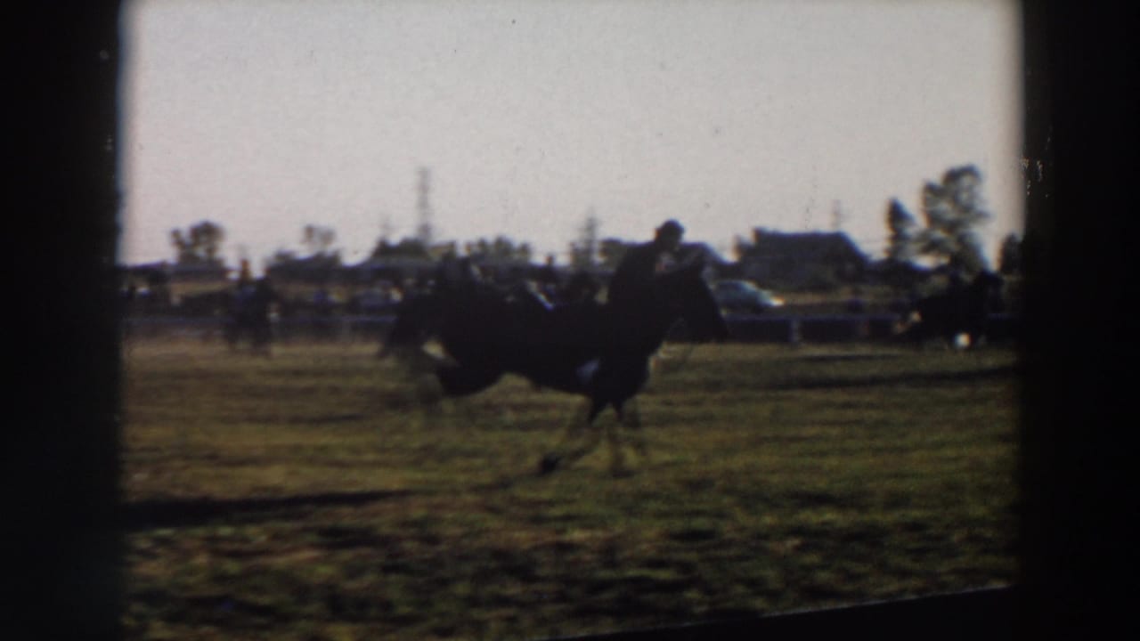 Rider on a dark bucking horse in a grassy rodeo field with spectators beyond a fence.