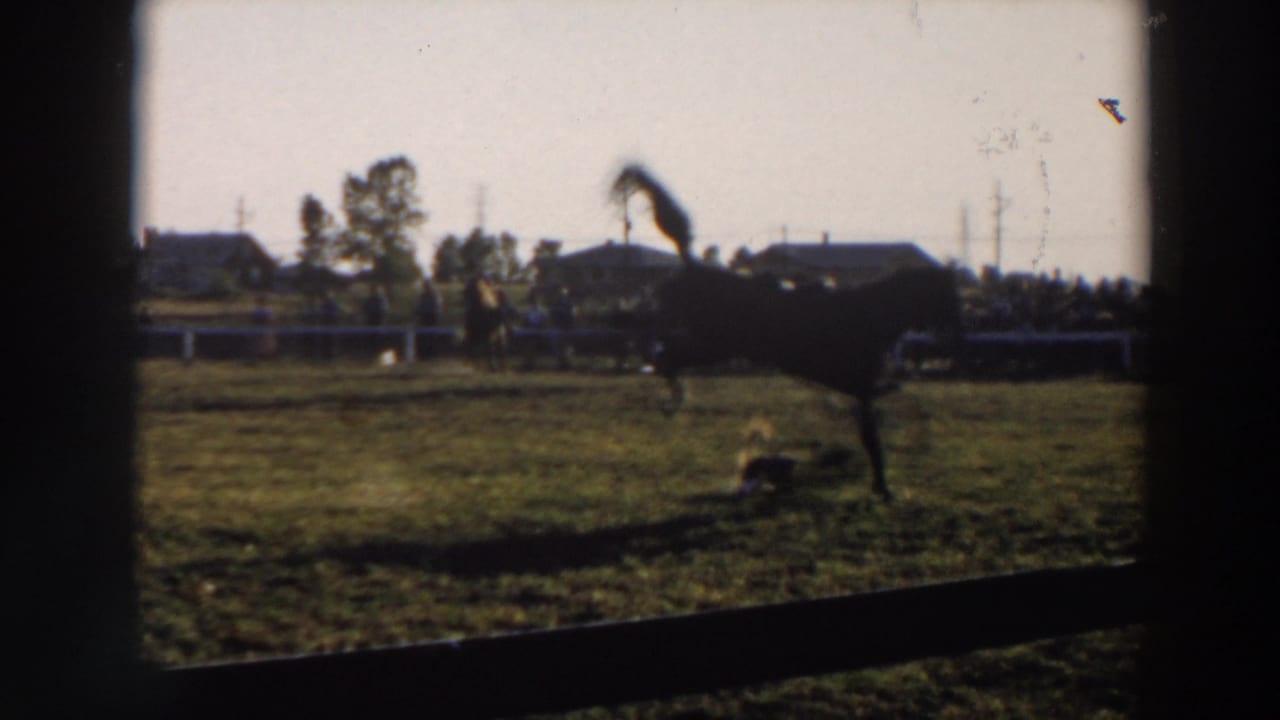 1957 Wheeling, Ohio frame with the bronco rearing while a rider appears to be thrown or down near the horse on the rodeo field.
