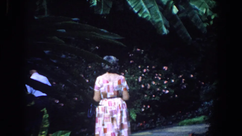 1958 Florida 8mm frame of a woman seen from behind walking beside tropical foliage and small flowers.