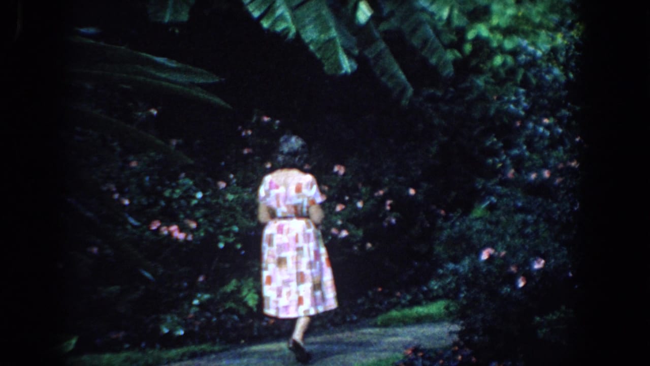 Woman in a patterned dress walking away on a garden path beside dense flowers and foliage.