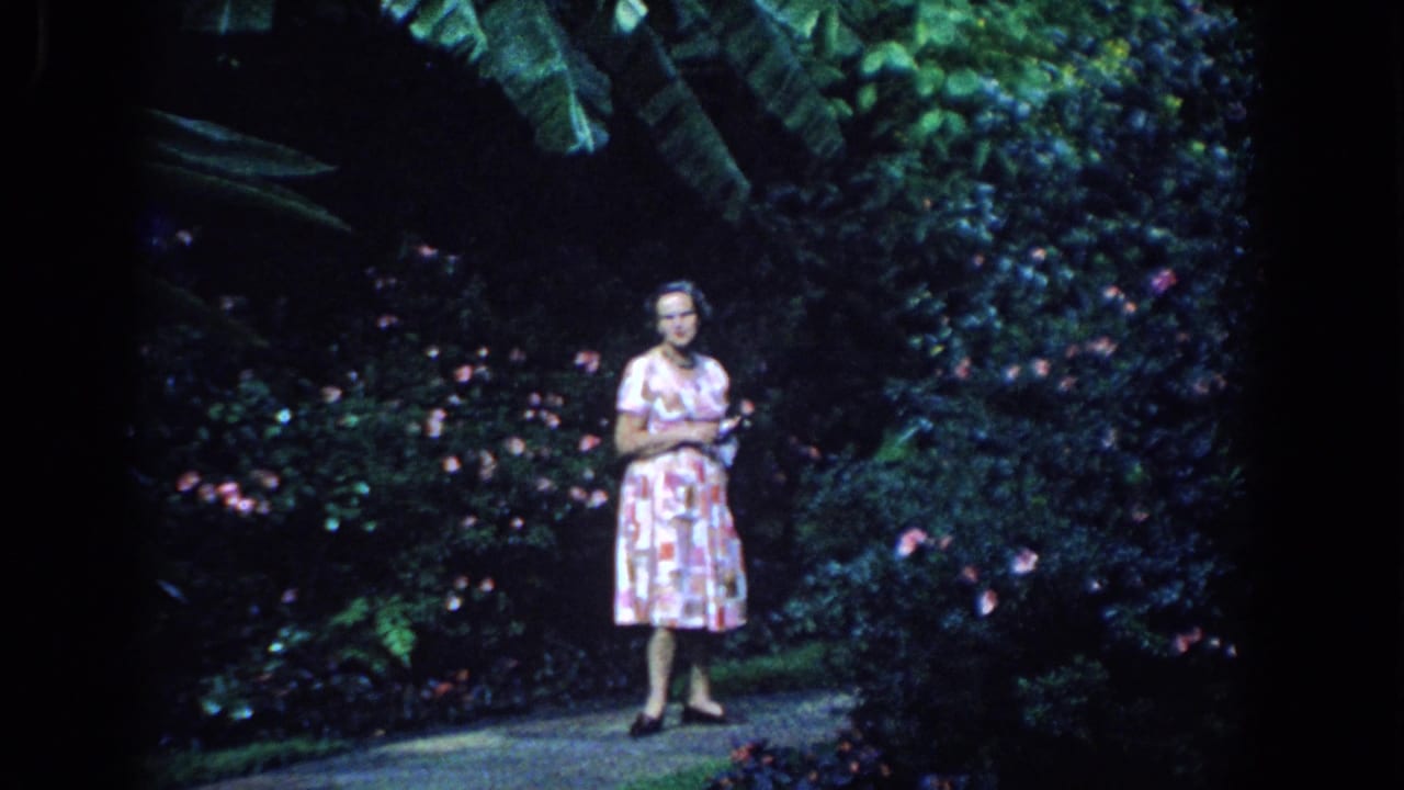 Woman in a pink dress standing on a garden path beside flowering bushes.