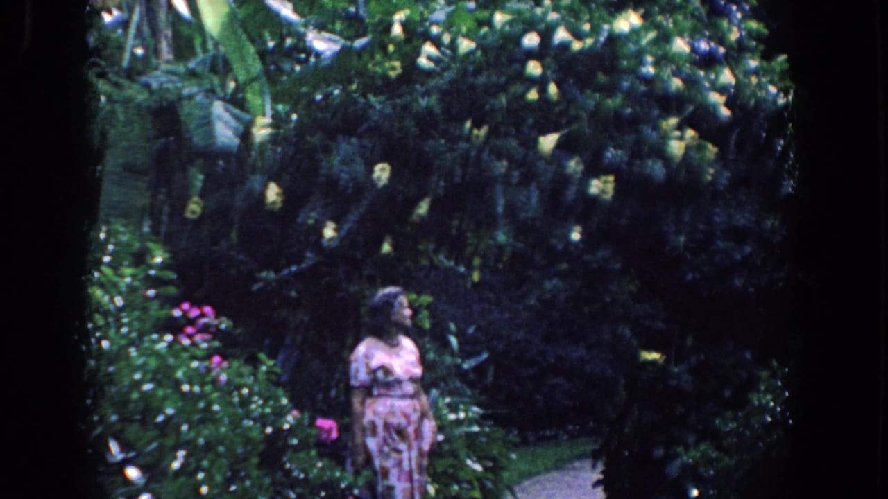 Adult woman in a pink dress standing among dense tropical garden foliage and flowers.