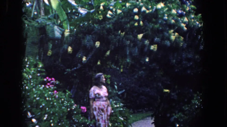 In a 1958 Florida garden scene, an adult woman in a pink patterned dress stands near lush leaves, yellow blossoms, and pink flowers.