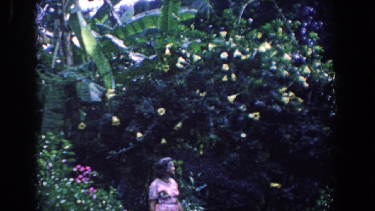Woman partly lower in frame beneath banana-like leaves and flowering shrubs.