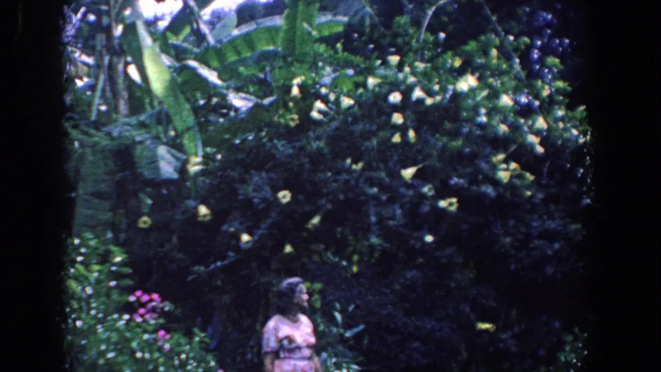 The 1958 Florida home-movie frame shows the woman low in the composition under broad leaves and clusters of yellow garden flowers.