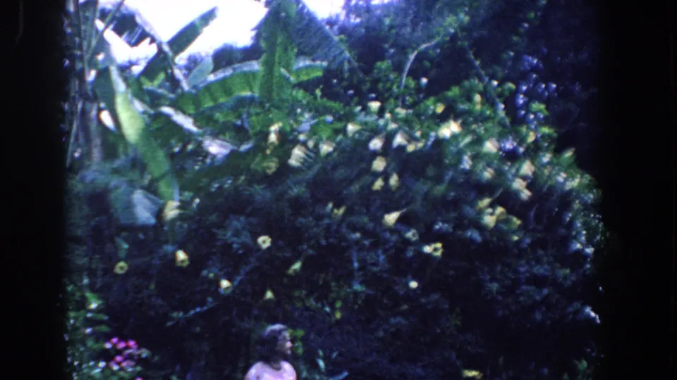 A 1958 Florida garden view shows the woman partially at the bottom, framed by heavy green foliage, yellow blossoms, and banana-like leaves.