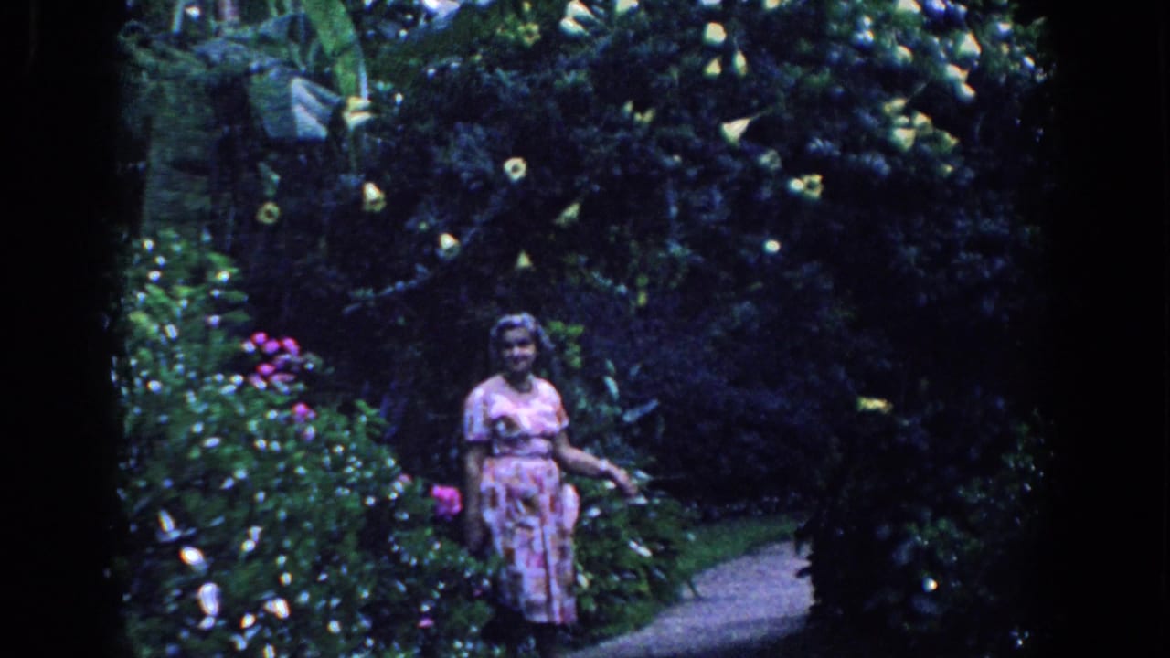 A woman in a pink patterned dress pauses on a Florida garden path surrounded by tropical foliage and flowers.