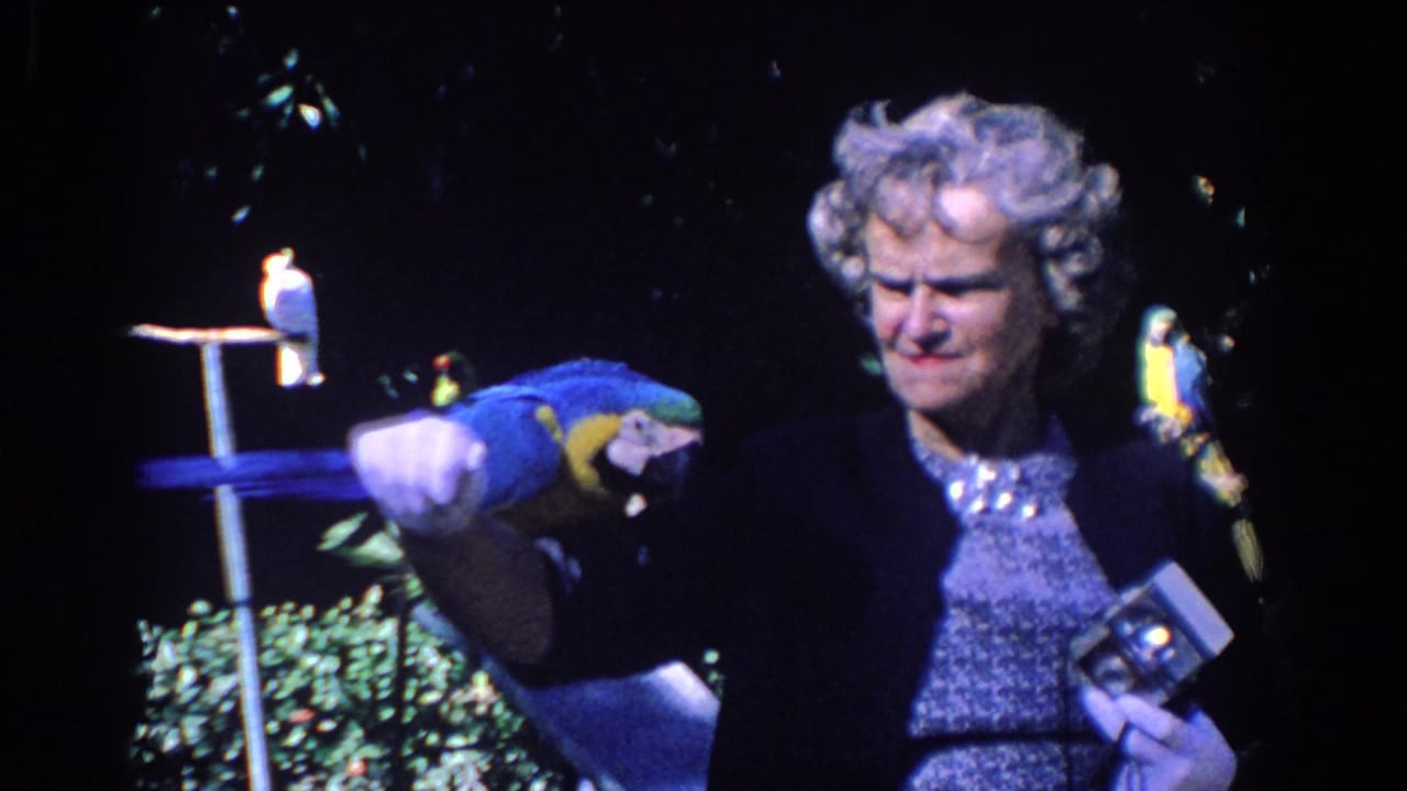 1958 Florida frame of a gray-haired woman in dark clothing holding a blue-and-yellow macaw, with small birds and a perch behind her.