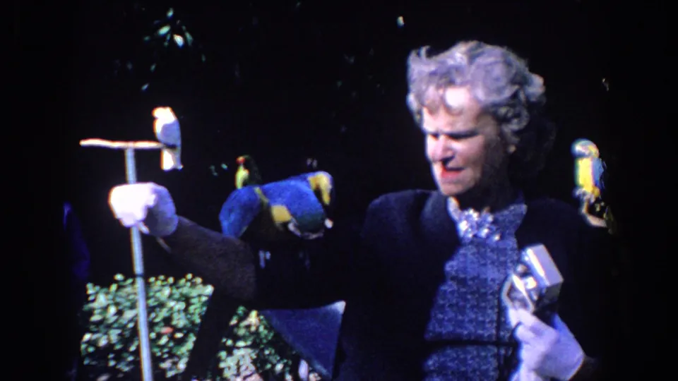 1958 Florida home-movie frame showing the woman extending a gloved hand while several parrots perch around her in deep shade.
