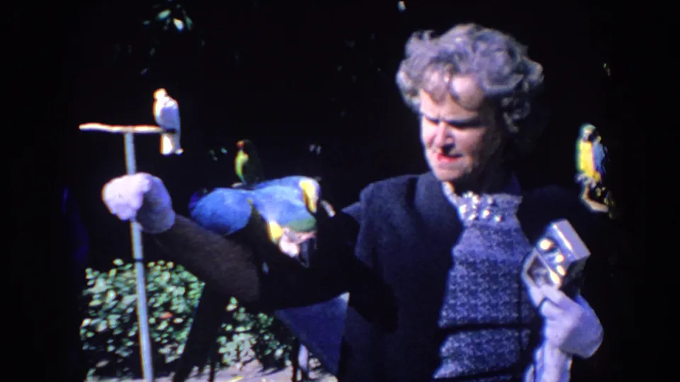 1958 Florida frame of a blue-and-yellow macaw leaning across the woman's arm, with a white bird on a perch and a small bird near her shoulder.
