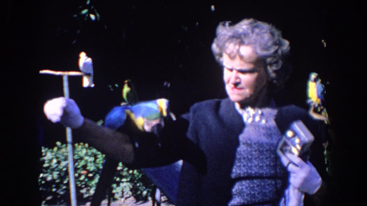 Older woman holding a blue-and-gold macaw on her arm with other birds nearby.