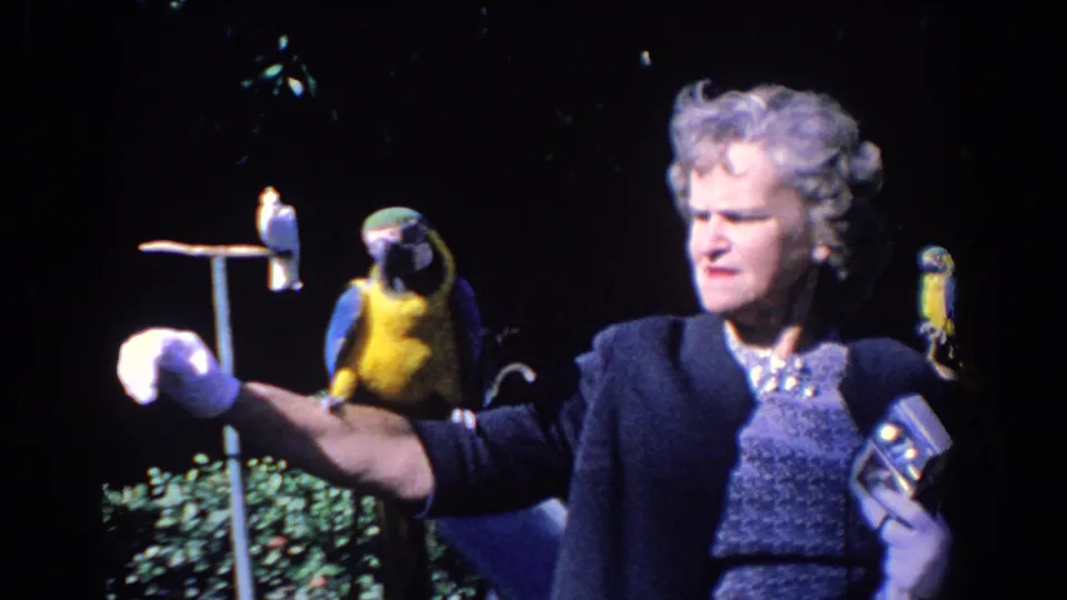 The macaw faces forward from the woman's arm, with another colorful parrot behind her and a white bird still perched on a stand.