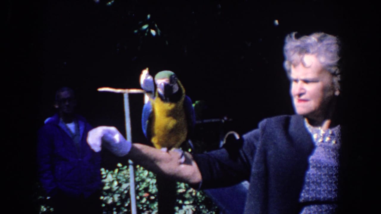Older woman holds a blue-and-yellow macaw on a gloved arm as a man stands behind her.