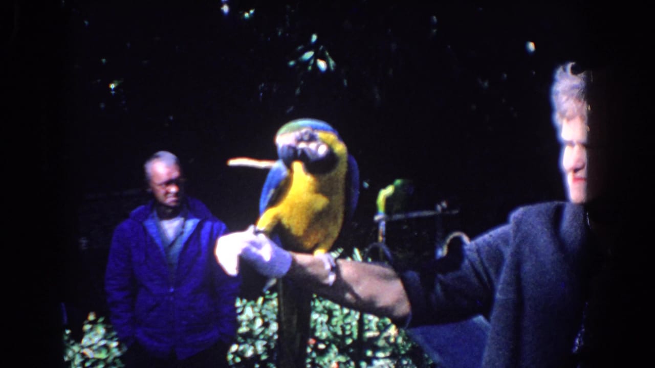 Macaw perches on a gloved arm near an older woman, with a man in a blue jacket behind.