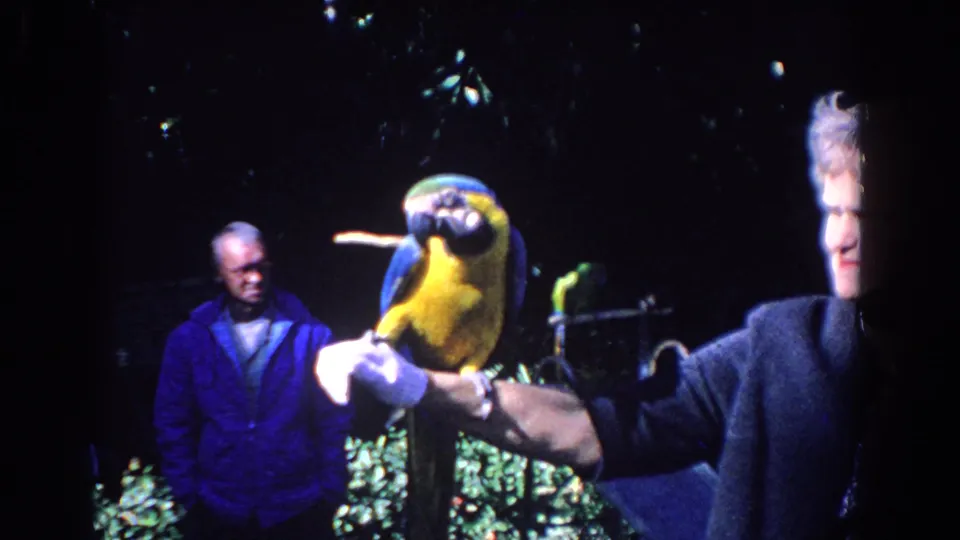 1958 Florida home-movie frame with a macaw facing camera on a gloved arm, an older woman partly visible, and a man standing behind.