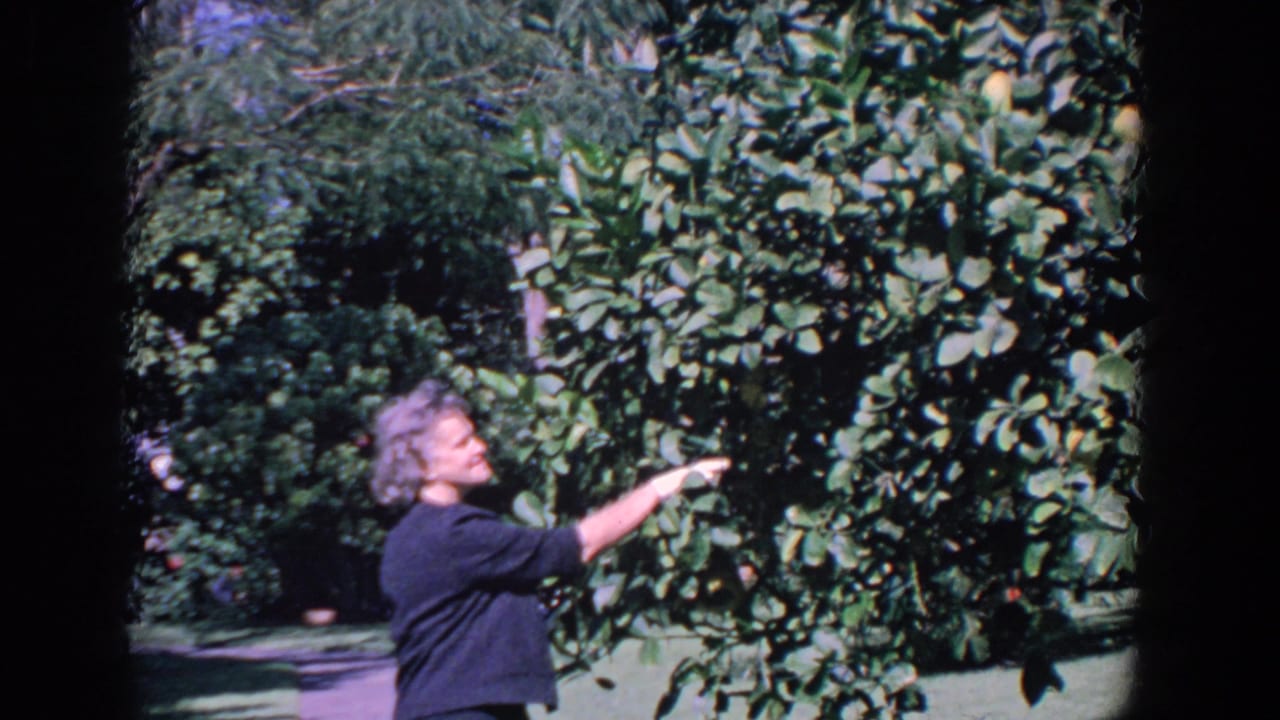 Woman points into the citrus tree while standing beside dense garden foliage.