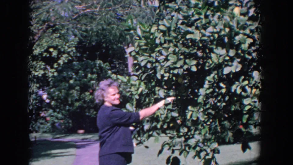 An elderly woman smiles while touching or indicating citrus branches in a Florida garden setting.