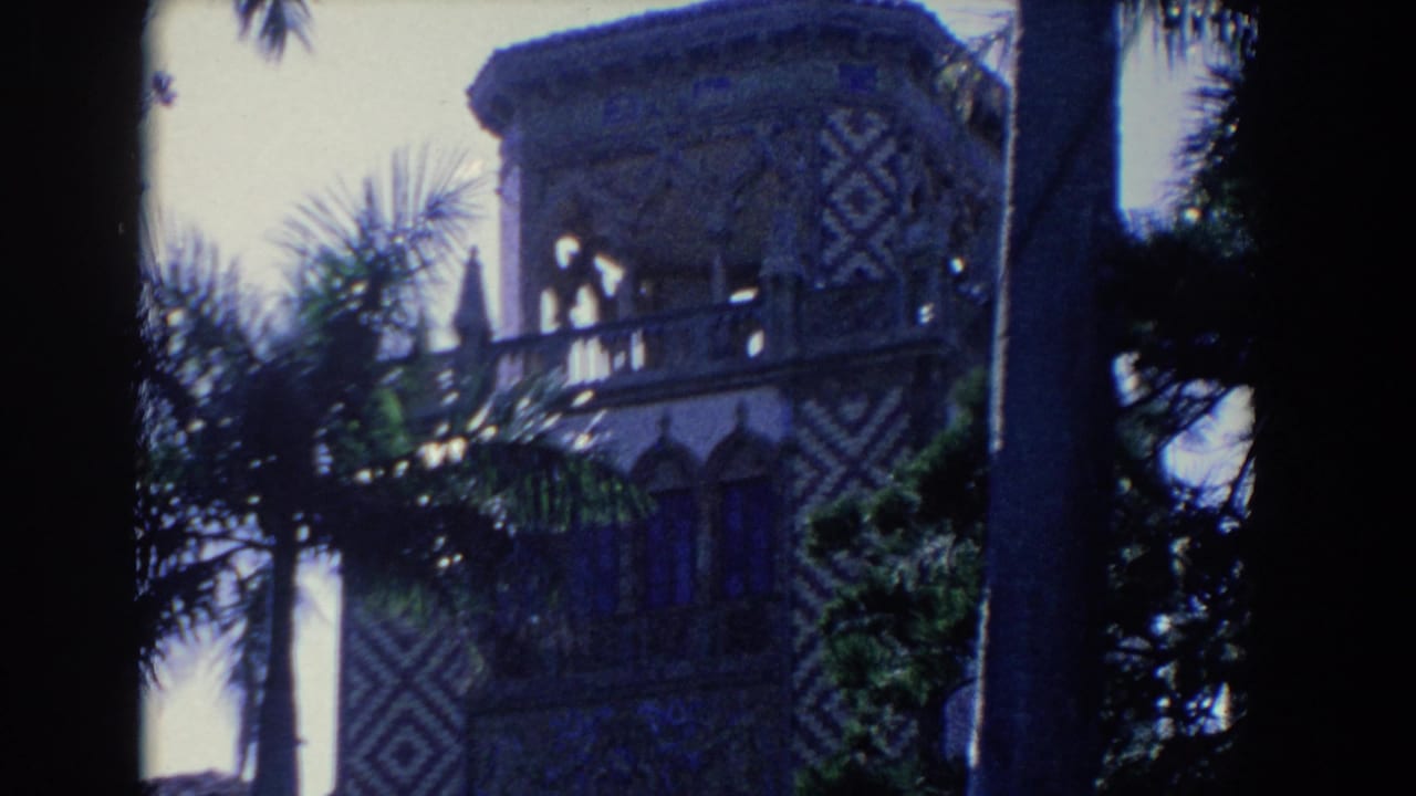 Ornate patterned building partly framed by palm trunks and foliage.