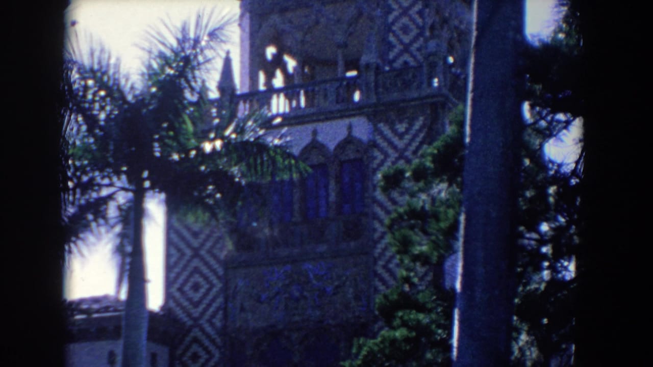 Tower-like patterned facade with palms and a dark tree trunk in the foreground.