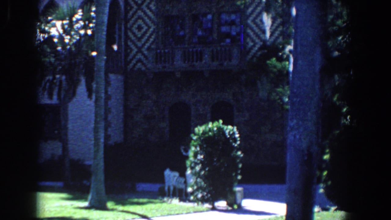 Estate exterior seen through dark palm trunks with arched openings, patterned panels, lawn, and a white chair.