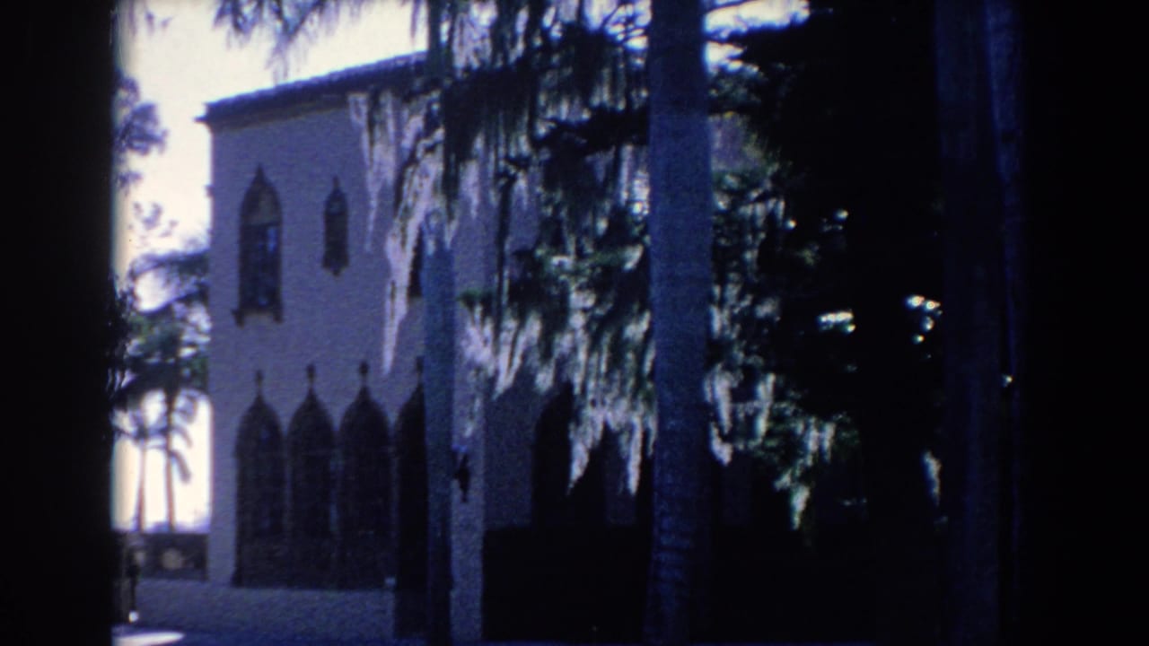 Palm trunks and hanging moss partly obscure a light stucco building with pointed arched windows.