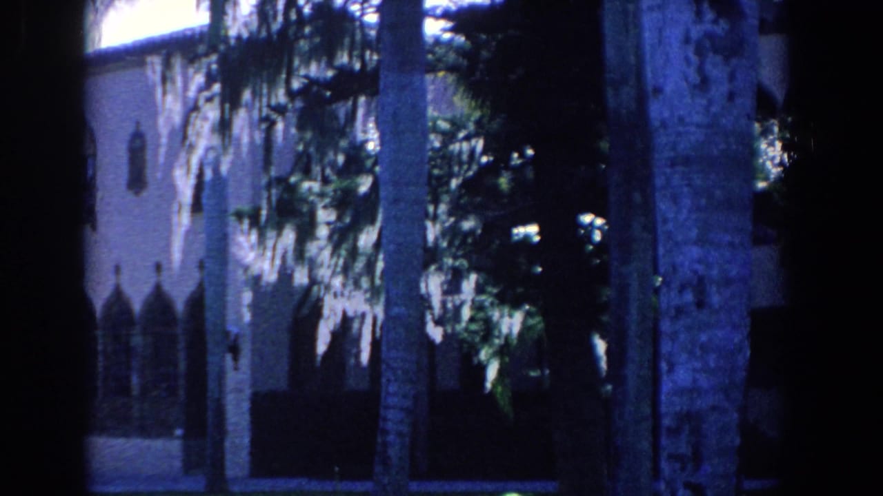 A palm trunk and dark foliage frame part of a stucco building with narrow arched windows.