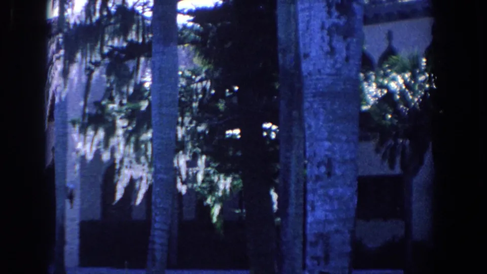 1958 Florida 8mm frame where tropical vegetation and moss obscure most of the light building exterior.