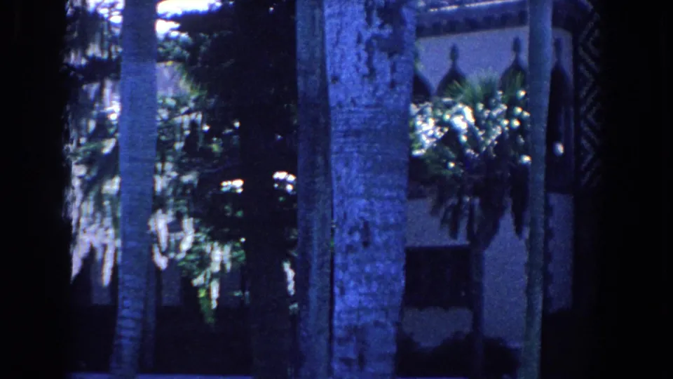 1958 Florida home-movie frame with a central palm trunk, tropical plants, and a partially obscured stucco building.