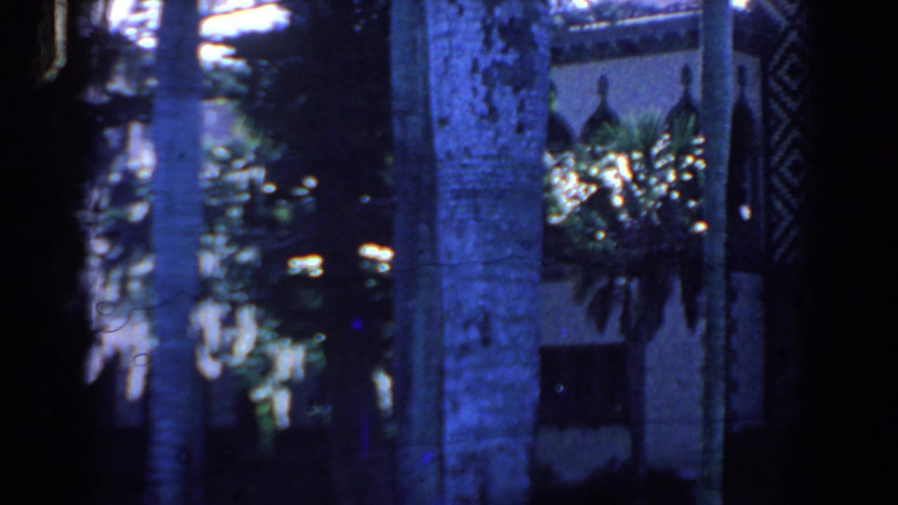 Palm trees and a tiled building exterior seen in blue-tinted shade.