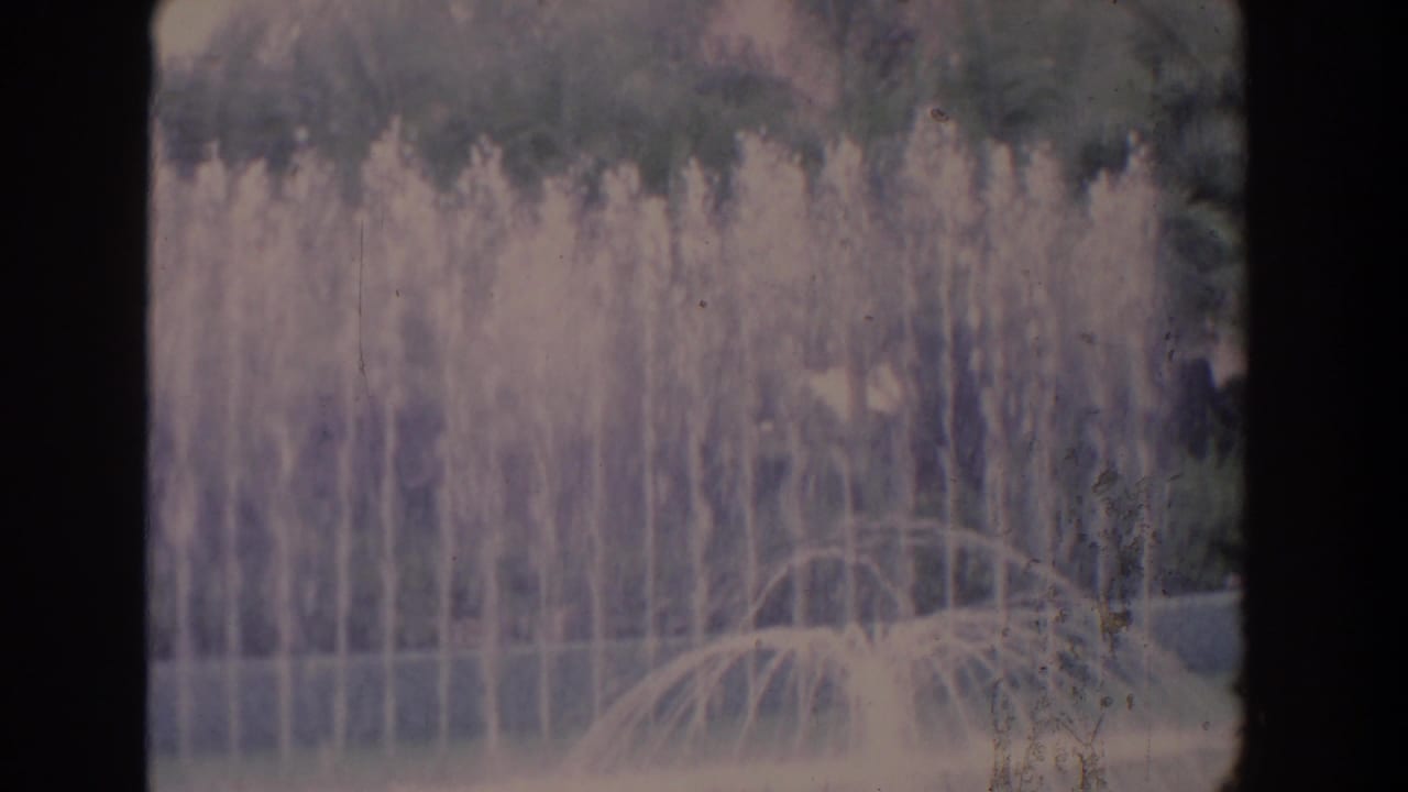 1958 Florida 8mm frame showing fountain jets spraying upward from a landscaped pond backed by palm trees and dense planting.