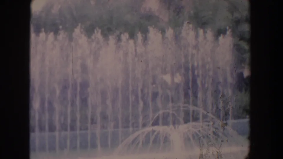 1958 Florida 8mm frame showing fountain jets spraying upward from a landscaped pond backed by palm trees and dense planting.
