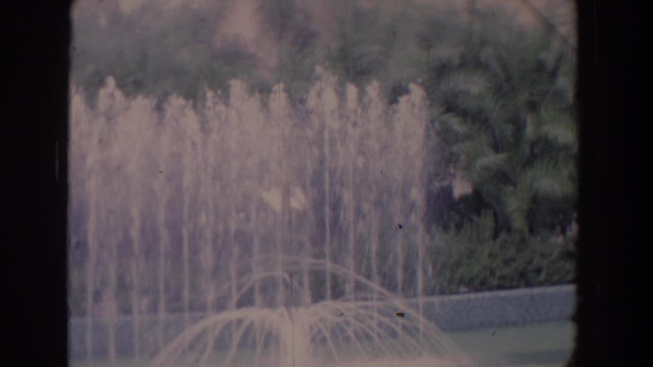 Multiple fountain sprays arc over a pond with palm trees in the background.