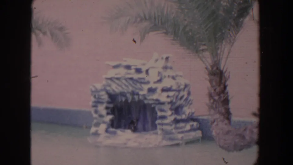 1958 Florida home-movie frame showing a small rock-like garden structure near pond water, with a palm trunk and pink-toned wall behind.