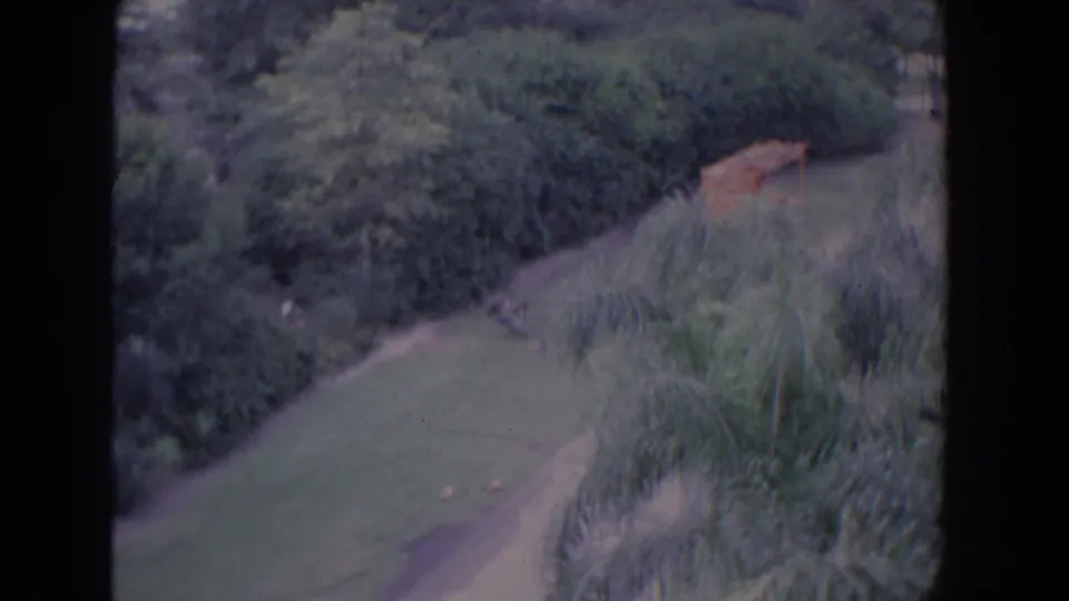 1958 Florida 8mm frame showing a soft, elevated view of a grassy slope, dense greenery, tall plants, and a small wooden structure beyond the lawn.