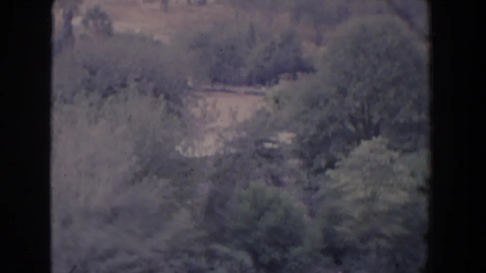 1958 Florida home-movie frame with a soft, slightly blurred view over dense greenery, pale ground, and layered trees on a sloped outdoor scene.