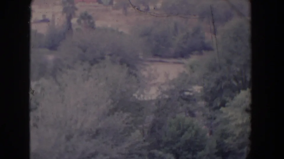 1958 Florida 8mm frame showing a soft elevated rural view with dense vegetation, palms, and faint distant structures.