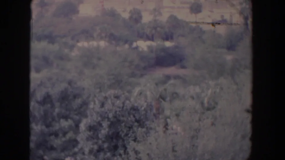 Aged 8mm Florida frame with dense brush, palm trees, and muted hillside detail under visible film wear.