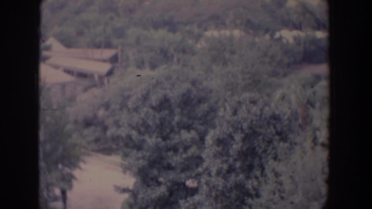 Tree-filled grounds with a low brown-roofed building and a curving path.