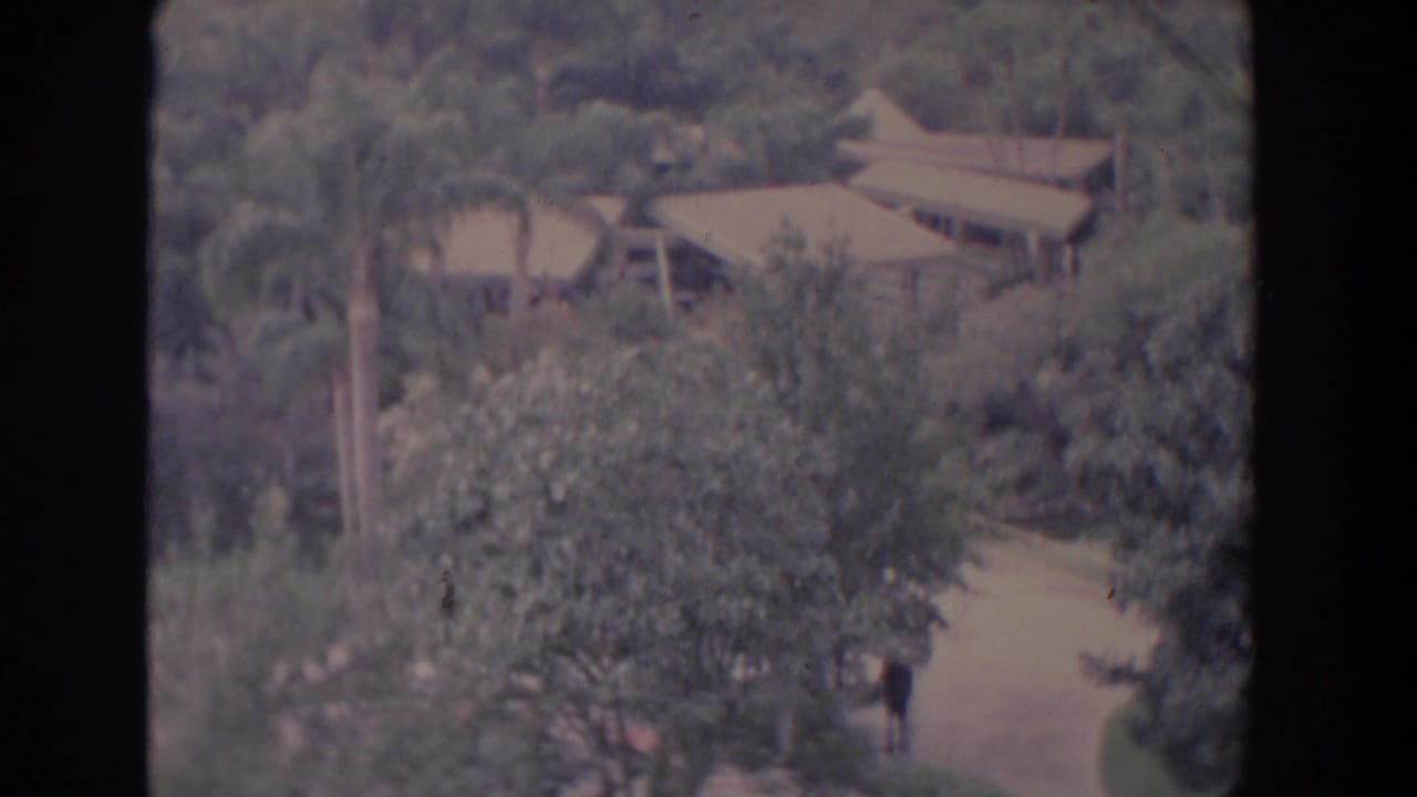 Soft 8mm view of palm trees, dense vegetation, pale roofs, and a small figure on a path.