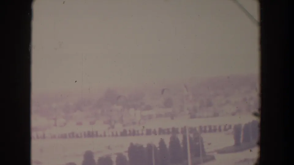 1958 Florida 8mm frame with an overexposed view across palm trees, open estate grounds, and distant birds in flight.