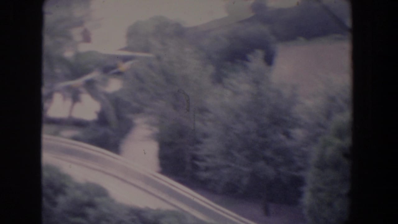 Faded 1958 Florida home-movie view of a curving road or path running through trees, with soft focus and visible film wear.