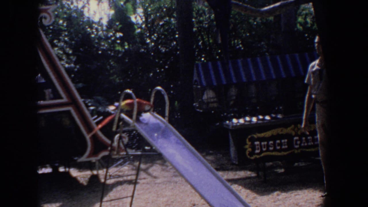 1958 Florida home-movie frame showing a macaw poised on a purple slide with a striped awning and Busch Gardens sign behind it.