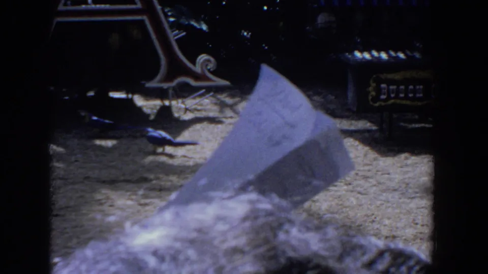 Late-1950s Florida 8mm frame with a blue bird near an ornate sign area and a partially visible labeled display at right.