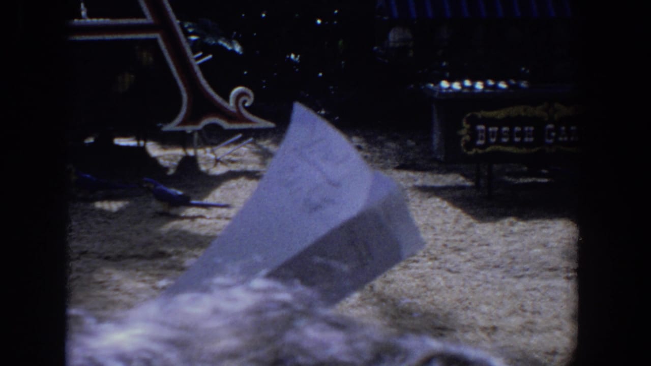 1958 Florida 8mm frame with a Busch Gardens sign, shaded trees, and a pale paper object close to the lens.