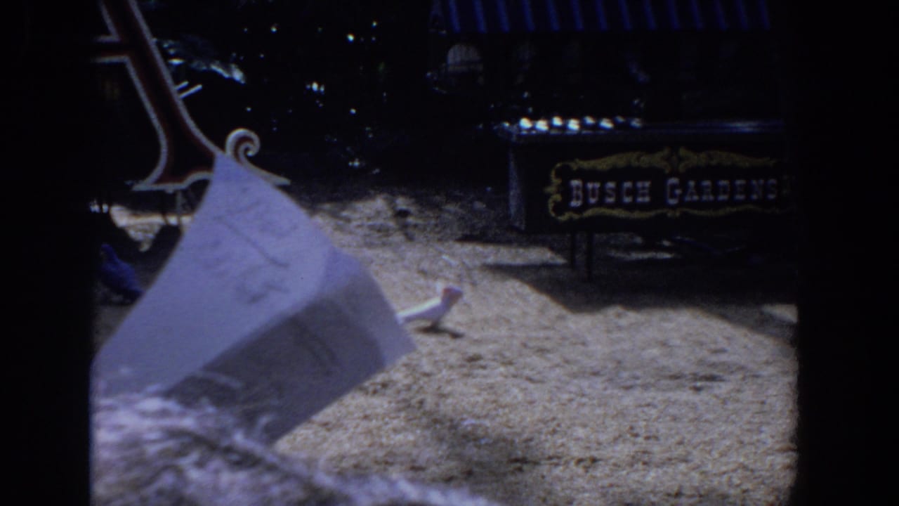 A close paper object partially obscures a Busch Gardens sign in a shaded 1958 Florida attraction setting.