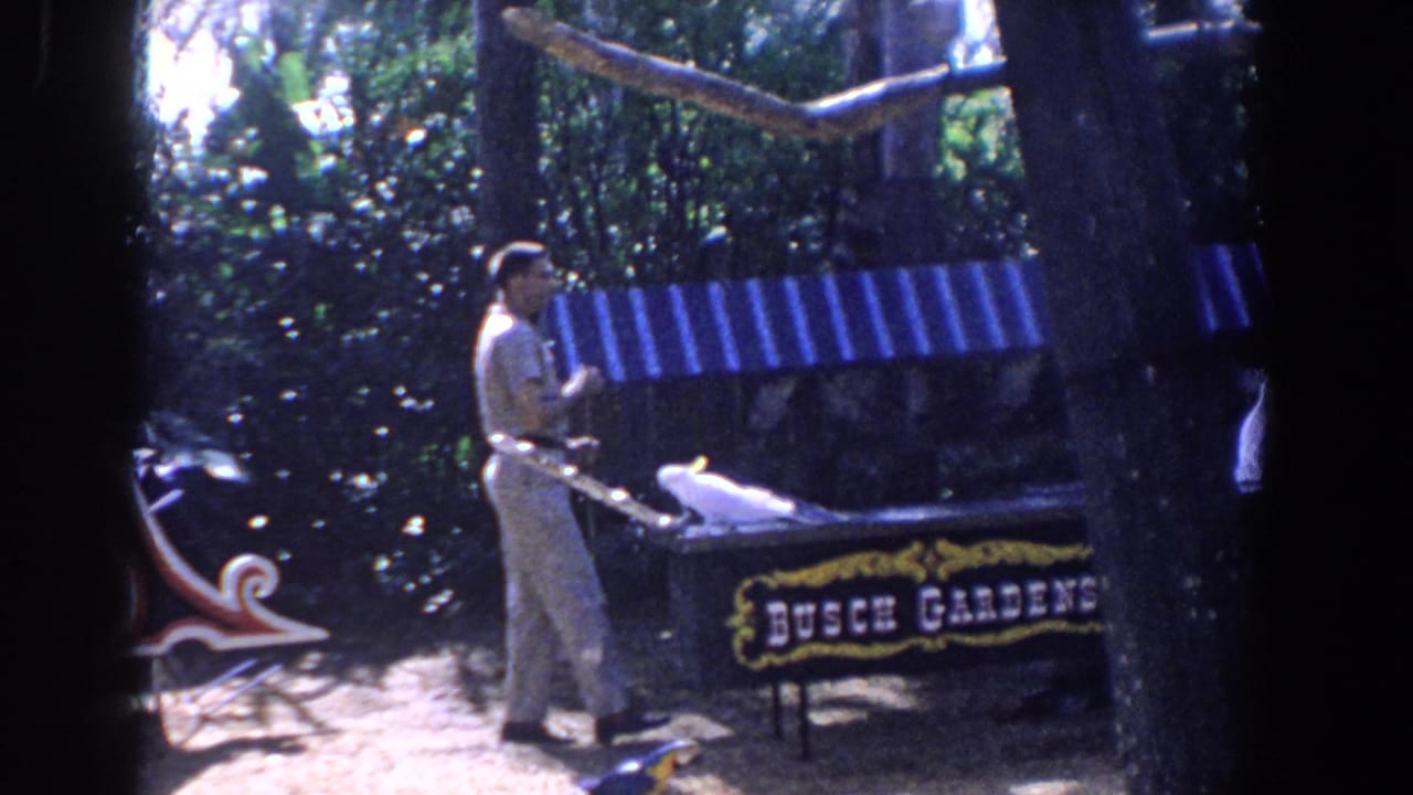1958 Florida frame with the bird handler gesturing while a white cockatoo balances on a stand at Busch Gardens.